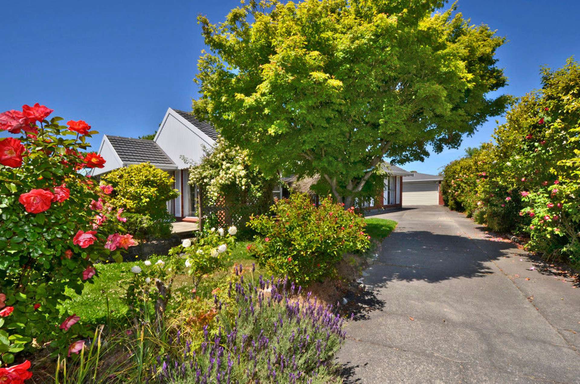 39 Raxworthy Street Ilam_0