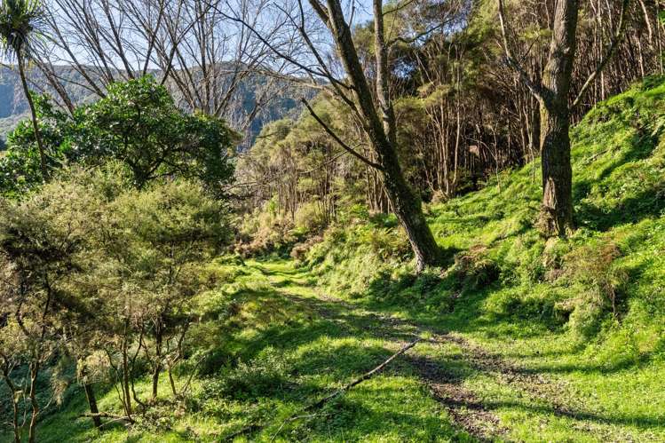 240 Cave Road Waimata_19