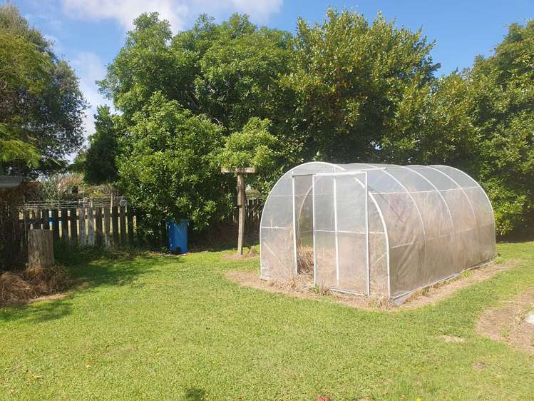 10 Hussey Street Waverley_16