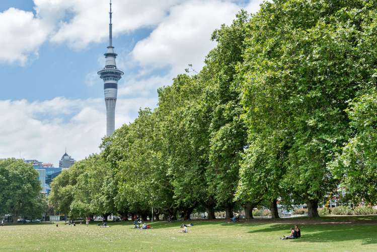 506/28 College Hill Freemans Bay_17