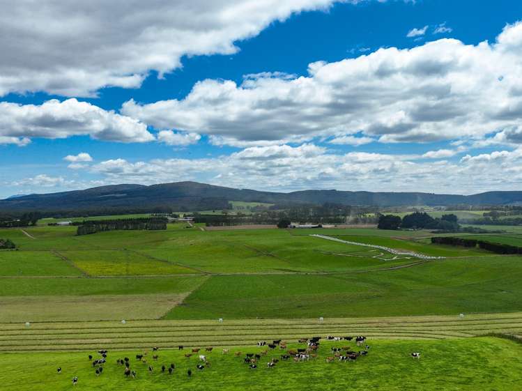 160 Blackwater Road Ermedale_11