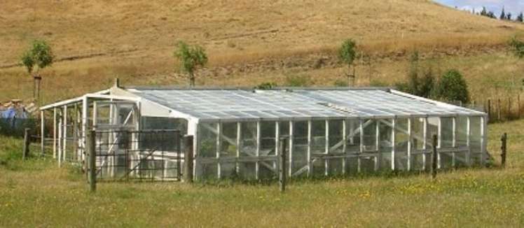 189 Waikareao Road Central Hawkes Bay Coastal_19