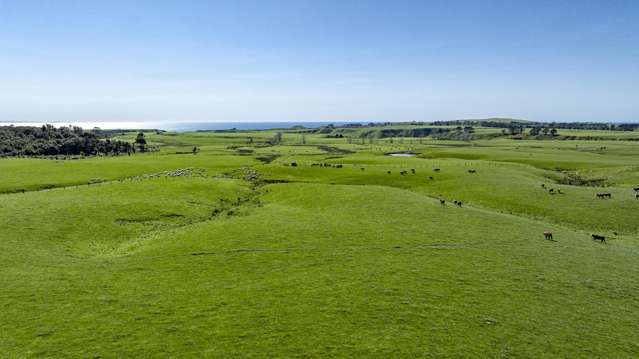 790 Mahia East Coast Road Māhia_2