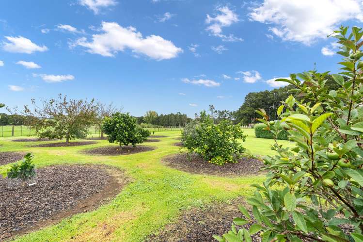 67 Worsnop Road Ruatangata West_25