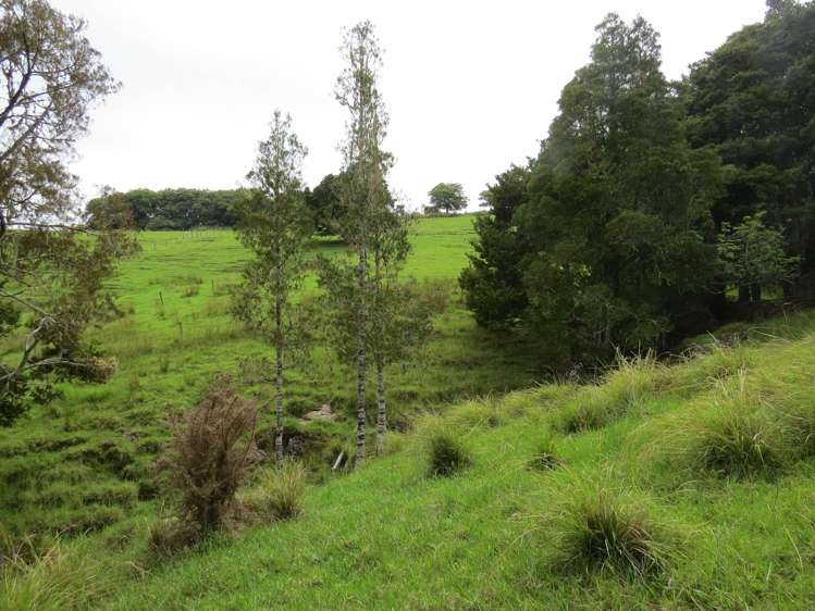 Lot 4 Taylor Road Taipa_8