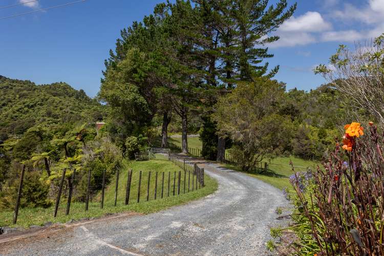 799 Matakana Valley Road Whangaripo_6