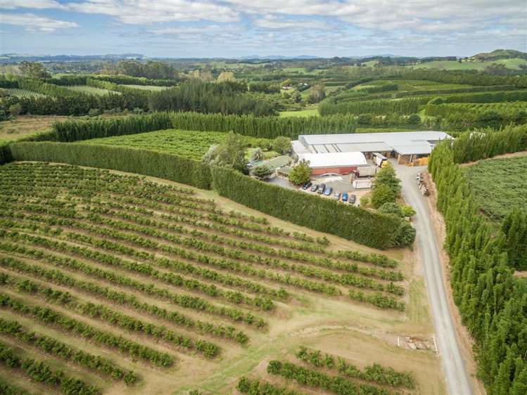 517 Kerikeri Road Kerikeri_13