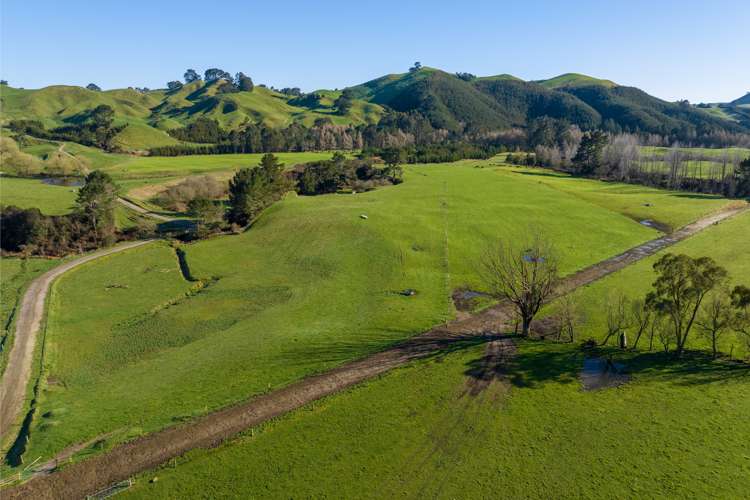 1038 Te Kopia Road Waikite Valley_8