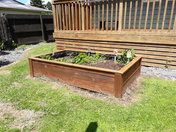 32 Collie Drive Pukehangi_10