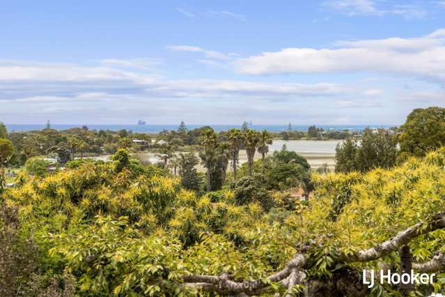 117 Athenree Road Athenree_4