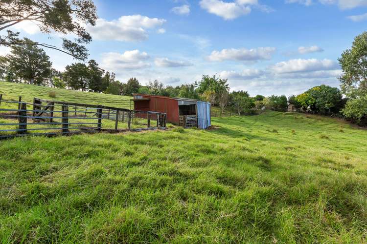 903 Springfield Road Mangapai and Surrounds_22