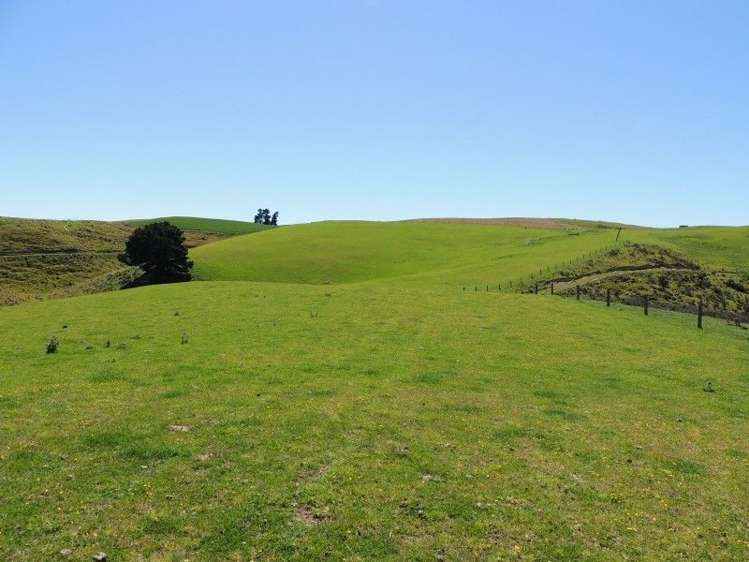 126 Mcphersons Road Taiko_22