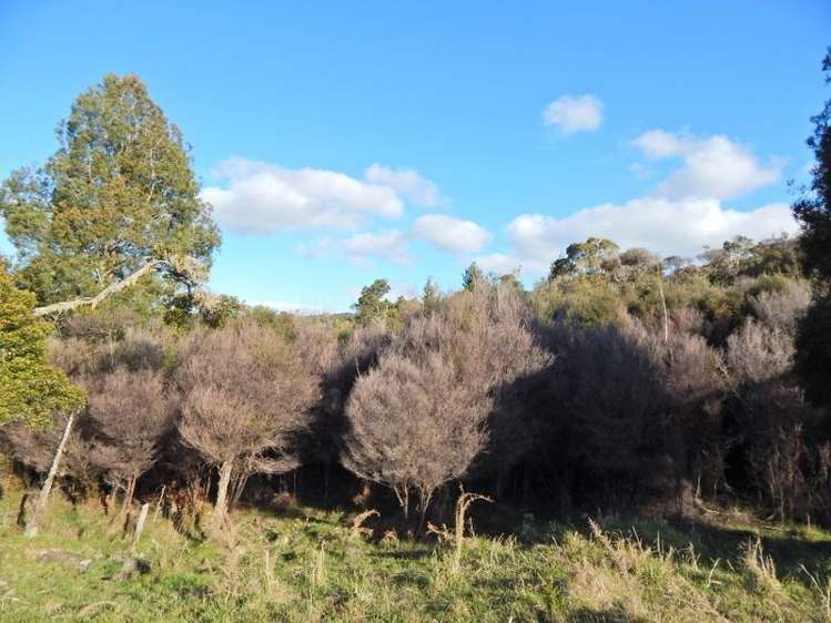 2084 Waiare Road Okaihau_9