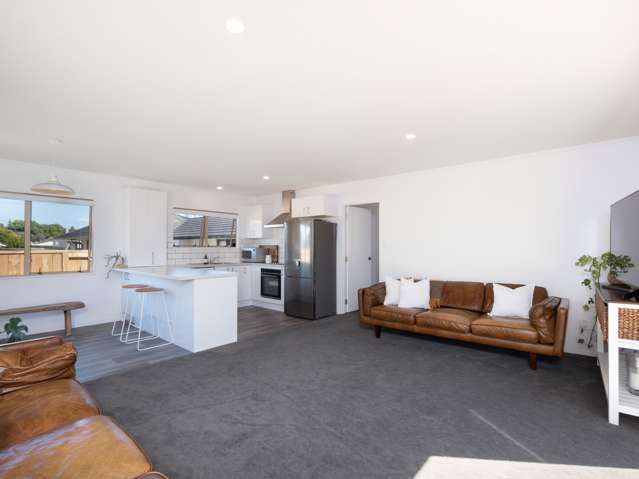 2b Donovan Street Te Puke_1