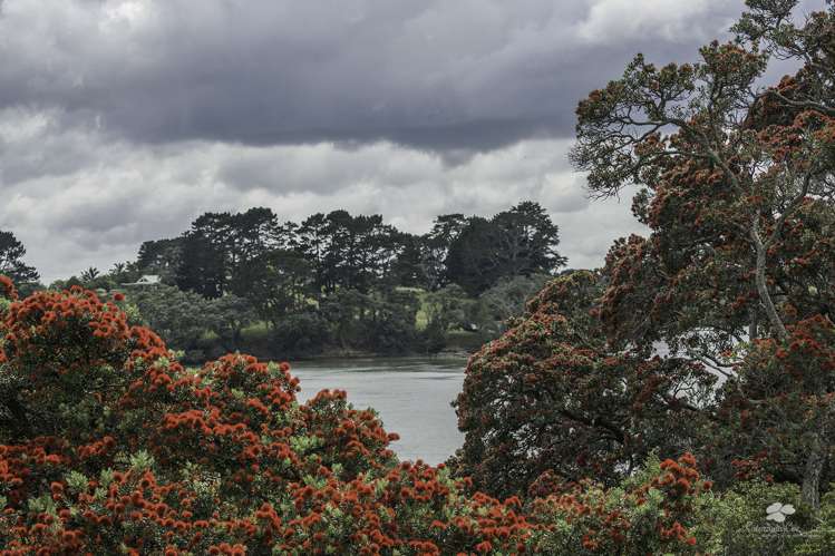 35 Mclarin Road Glenbrook_8