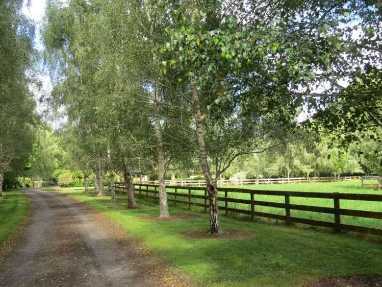 111 Tarr Road Ohaupo_42