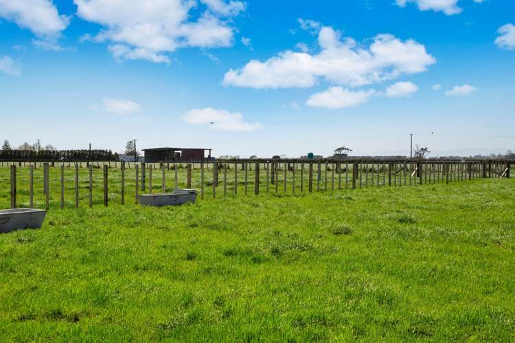 347 Inland North Road Tikorangi_12