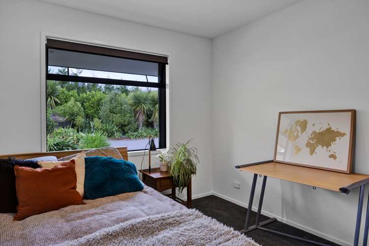 511 Plymouth Road Koru_29