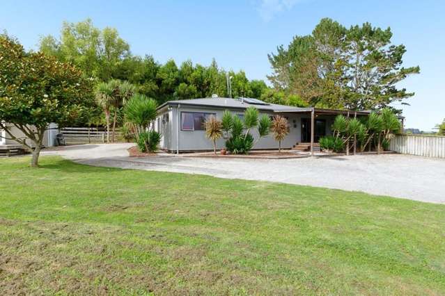 534d Mclaren Falls Road Kaimai_1