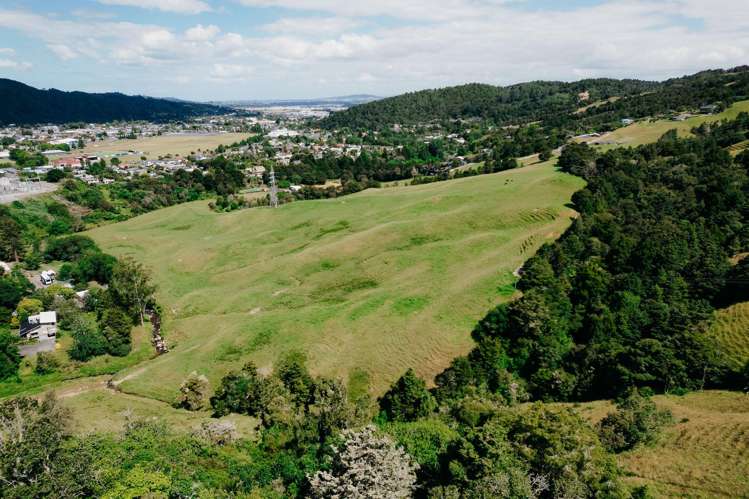 48 Bedlington Street Whau Valley_44