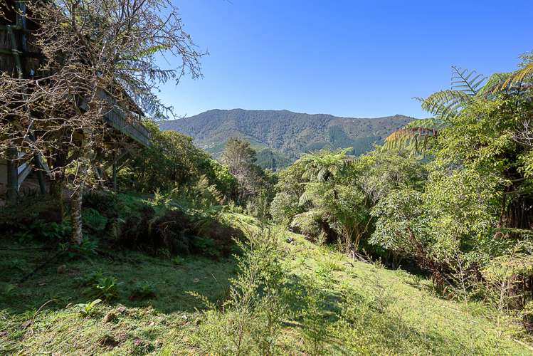 Nikau Bay Kenepuru Sound_18