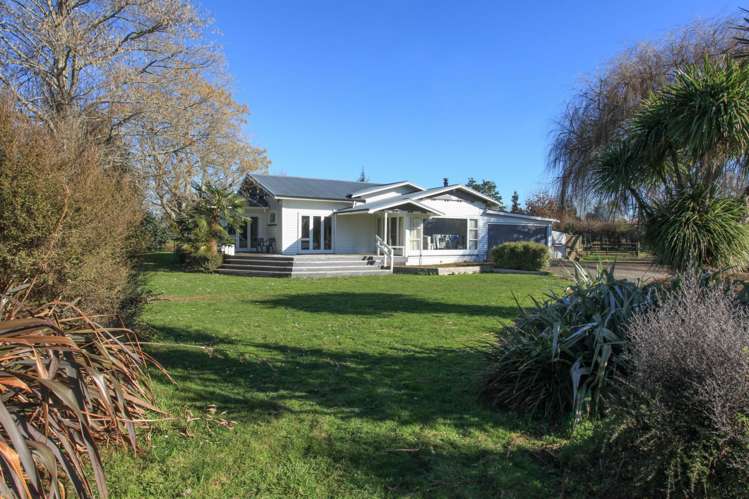 401a Marychurch Road Matangi_11