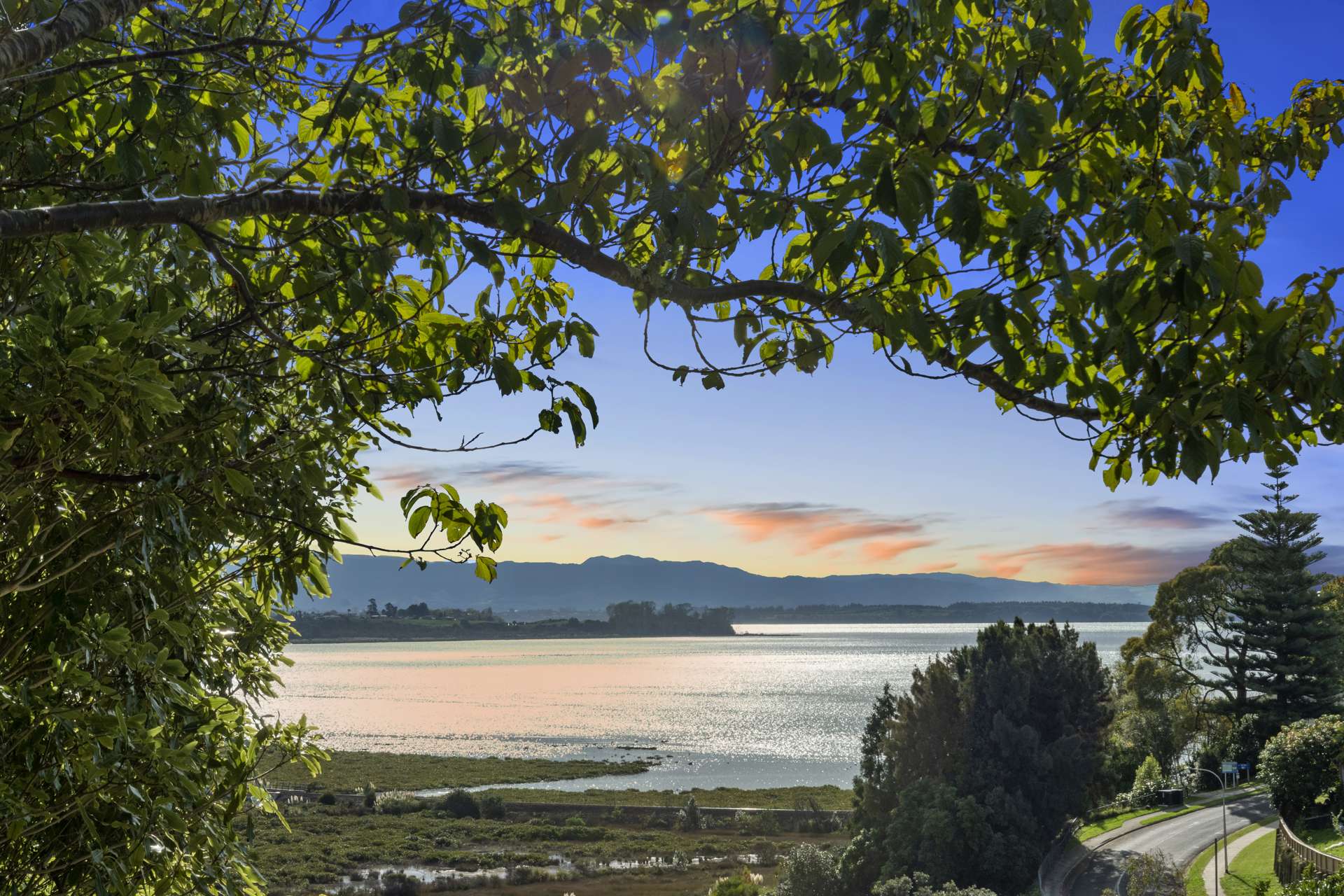 82 Anne Road Bellevue_0