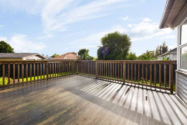 44 Rimu Street Maeroa_4