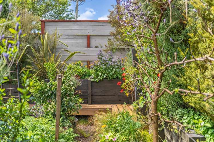 24 Temple Street Meadowbank_14
