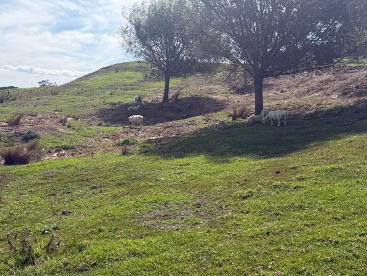 Lot 4 354 Mountain Road Maungaturoto_18