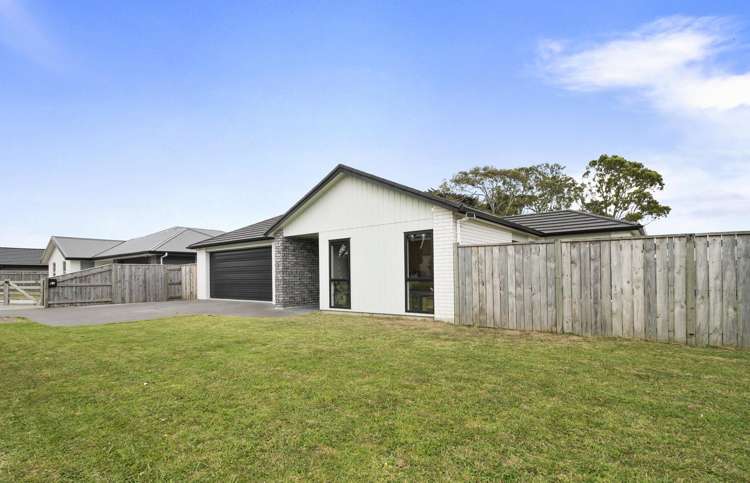 61 Wilson Street Bulls_14