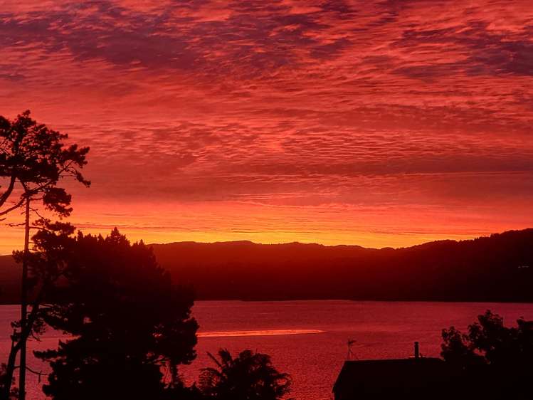 75 Halsey Drive Lynfield_34