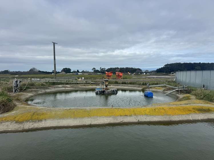 1491B-C Springs Road Lincoln_16