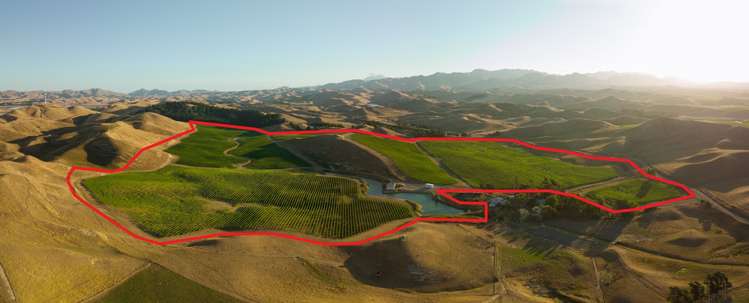 217 Caseys Road Seddon_2