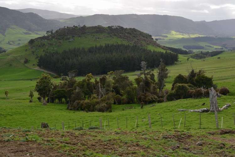 1551 Owaka Valley Road Catlins Surrounds_17