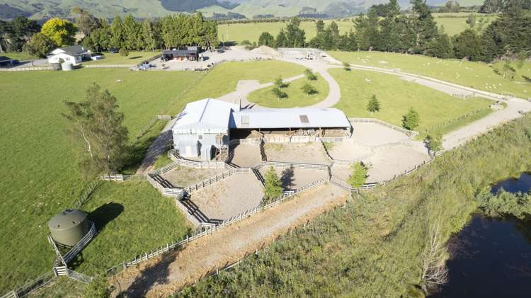 188 Burnetts Road Kaituna_4