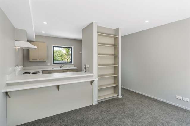 6/15 Austin Street Sydenham_3