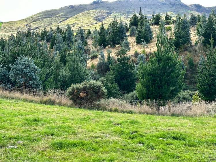 Cairn Road Clinton and Surrounds_15