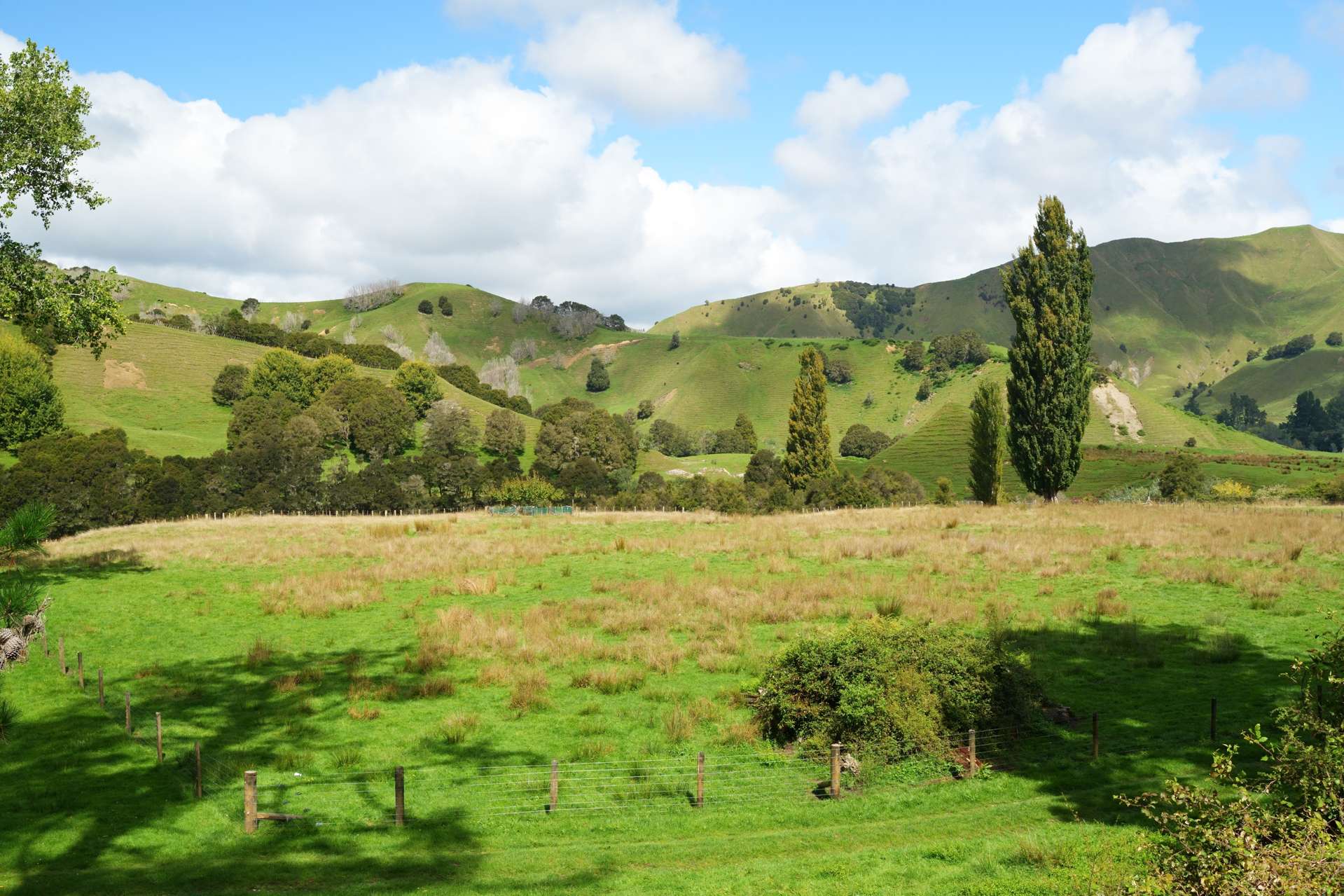 Lot 2 Ruakituri Road Ruakituri_0