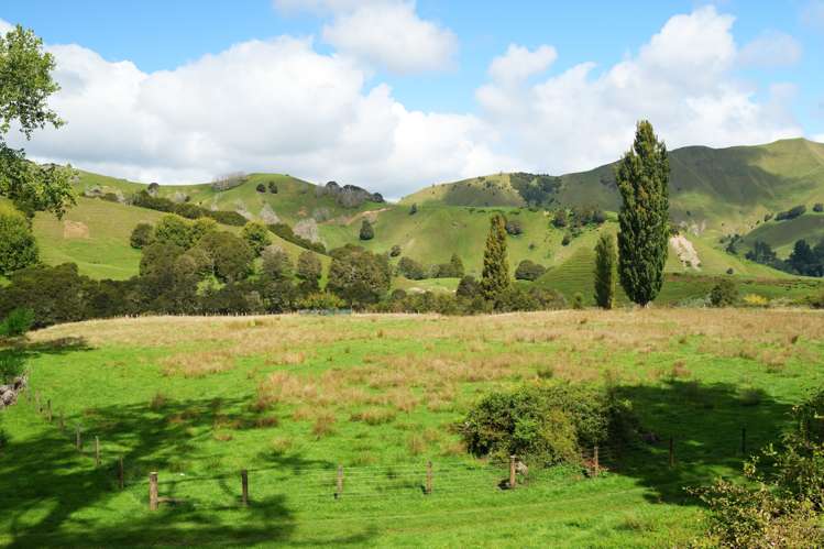 Lot 2 Ruakituri Road_0