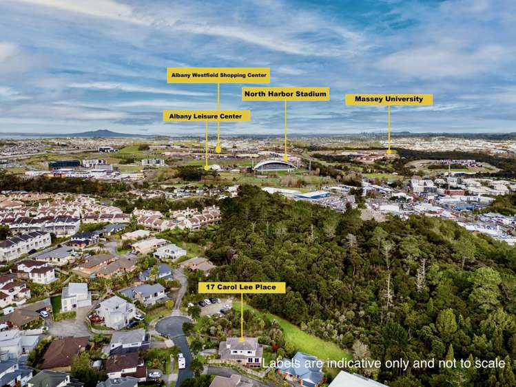 17 Carol Lee Place Albany Heights_35