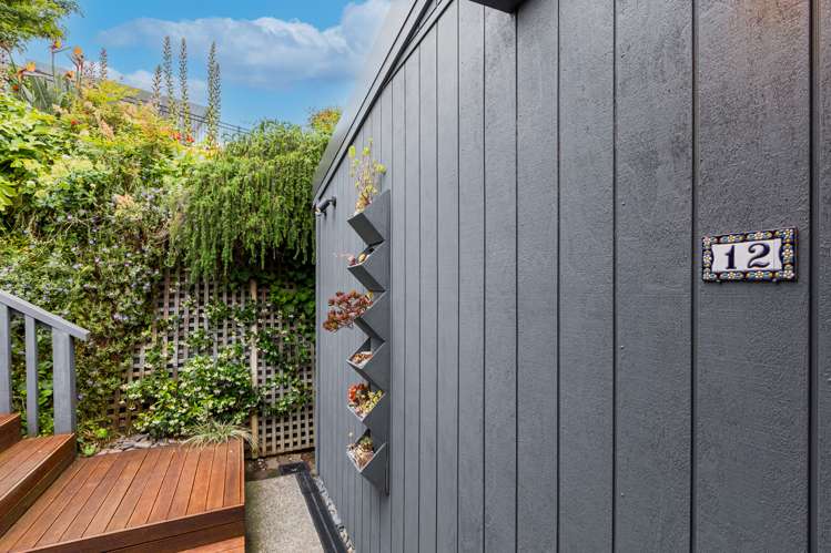 12 Cobden Crescent Bluff Hill_25