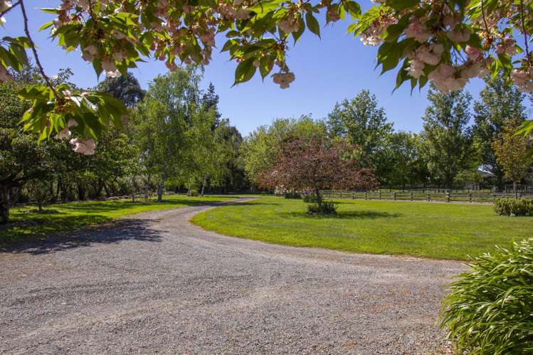 77A Brooklyn Road Carterton_30