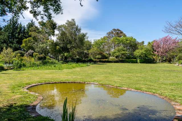 439 Norfolk Road Carterton_3