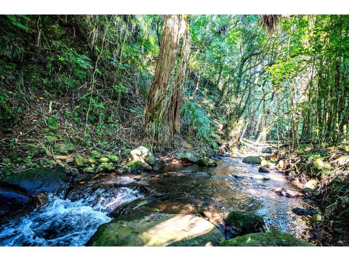 Lot 11/15 Manako Place_2