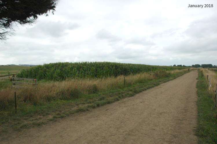 21 Grayden Road Morrinsville_24