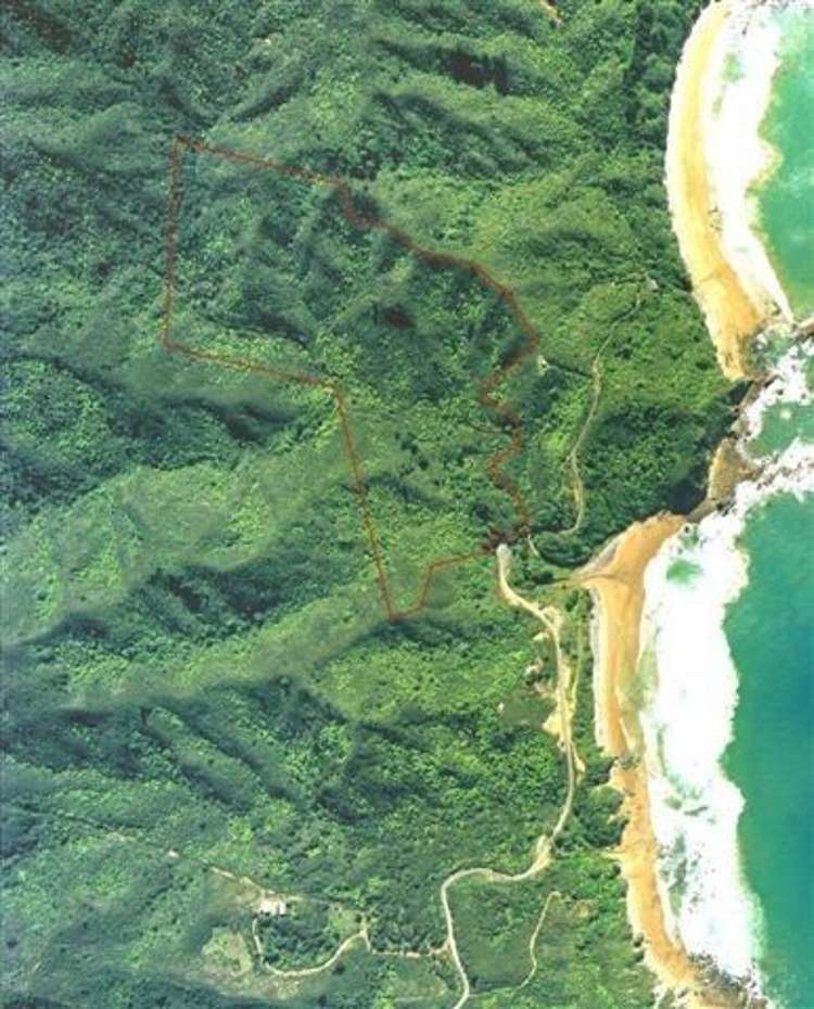 219 Sailors Grave Road Pumpkin Hill_3