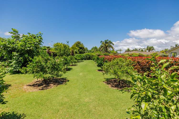 18 Blue Marlin Drive Kerikeri_33