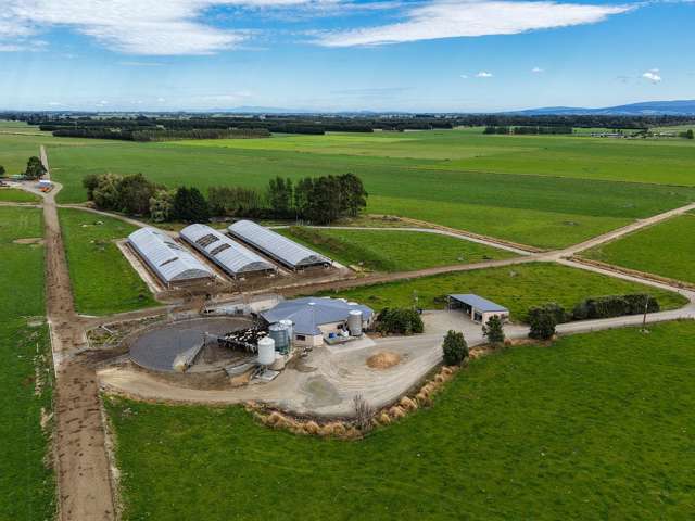 Prime Dairy Unit with Quality Infrastructure