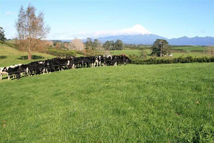 2 Davis Road Inglewood_2